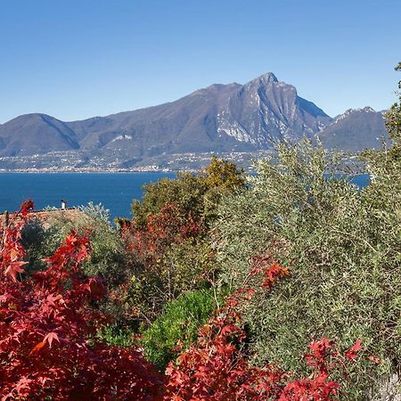 Villa Loncrino - Fine Living Torri Del Benaco Luaran gambar